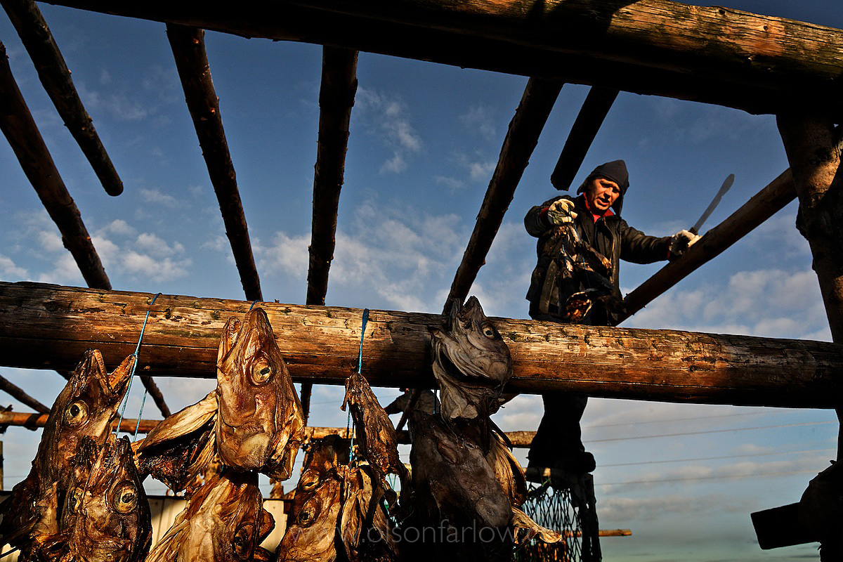 Cod, Iceland, Migrant Workers,
