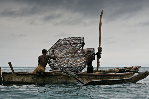 Artisanal fishermen off the coast of Tanga, Tanzania drop their traps so they can sell to a Spanish company called “Sea Products.” Sea Products moves octopus, squid, and cuttlefish to Europe, mostly Italy and Greece. They have a coelacanth in their freezer being held for a museum.
The East coast of Africa doesn’t have the conditions to feed their countries with fish. The entire coastline of Tanzania and Mozambique offers up the same amount of fish as the dinky coastline of West Africa’s Senegal.
“If you buy fish in a store, do you know where it comes from?” asks a recent UN report on the alarming 100 percent rise in fishing piracy over the past decade. “It might be stolen from the poor. It could even have cost lives.”
