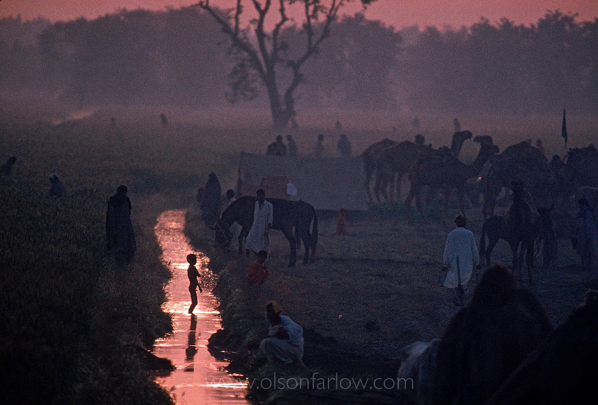 Pilgrims at a camel Gathering | Indus Valley, Pakistan
