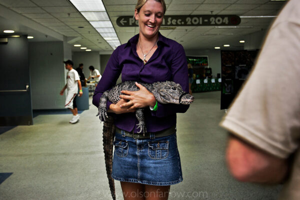 A woman at the National Reptile Expo in Dayton Beach, Florida, holds an endangered Chinese crocodile that is protected by Chinese and International law. Related to the American alligator, the Chinese reptile is smaller, usually only attaining a length of five feet.
While it originally ranged through much of China, this species’ wild habitat has been reduced to little more than a few ponds containing a small number of animals (fewer than 200 individuals, only approximately 50 of which are mature) along the lower Yangtze River. Its population reduction has been mostly due to conversion of its habitat to agricultural use. The building of dams in the wetlands is also destroying its home.
