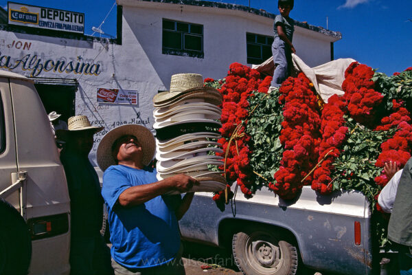 A hat seller walks through the marketplace among trucks heavily loaded with Terciopelo flowers as people prepare to celebrate Day of the Dead, Mexico’s premier fiesta.  Atlixco is the flower capital for exporting roses and gladiolas in the state of Puebla.
