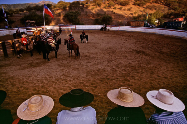 Chilean cowboys also known as Hausos dressed in traditional flat-brimmed sombreros or or chupallas or Adalusian hats waiting for the rodeo competition to begin.  The term Huaso refers to a cowboy skilled at riding horses. In a Chilean rodeo, a team of two riders works together in an arena to pin a calf. Riders are required to wear traditions costumes that also include a poncho. It was named a national sport in 1963 and has gained popularity so that more Chileans attend rodeos than soccer or their professional football.
 
 

