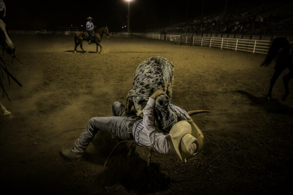 The cowboy culture evokes the words “freedom” and “out on the range,” but now exists primarily in feed lots or with professional rodeo cowboys. Beef Empire Days in Garden City, Kansas involves a ranch riding competition as well as steer wrestling or bulldogging. That is where a cowboy ropes a steer, drops from his horse and grabs it by the horns to pull it to the ground. It is an intense, fast paced, high energy event first performed in the early 1900s. 
