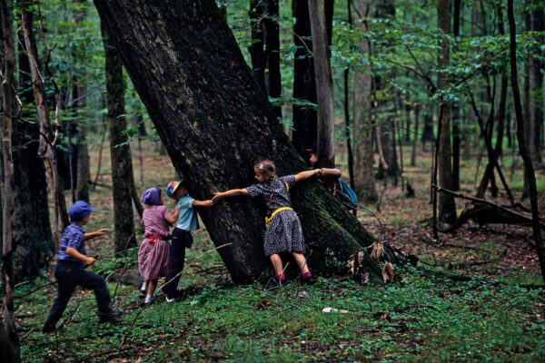 Hutterite children join hands to circle a large tree in the forest in the Laurel Highlands of Southwestern Pennsylvania. Two Bruderhof communities are surrounded by rolling hills where members of the community are located along the Old National Road near Farmington as it cuts through the state. The Hutterian Brethren are from an Anabaptist movement. They live in community and trace their roots to the Radical Reformation of the early 16th century.
George Washington hastily built nearby Fort Necessity at the time of the French and Indian War. Also nearby is the grave of British Major General Edward Braddock, the leader of an ill-fated expedition to capture Fort Duquesne.
