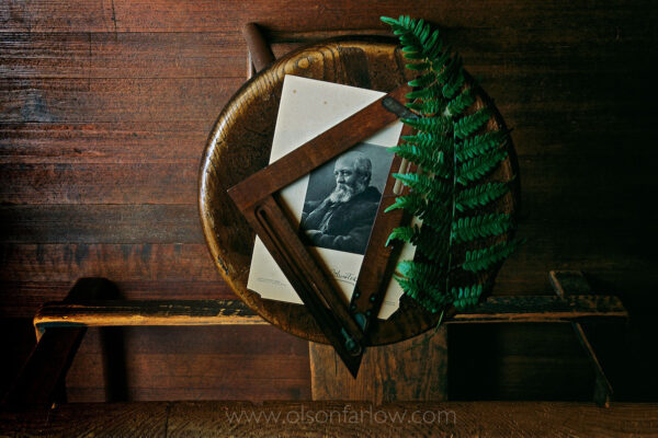A fern leaf frames a historic portrait of Frederick Law Olmsted along with tools of his trade as a landscape architect. The still life is arranged on a work stool in his office at Fairsted, now the Frederick Law Olmsted National Historic Site.
Olmsted (1822-1903) is remembered as America’s first landscape architect and park planner. He designed many well-known urban parks including Central Park in New York, Prospect Park in Brooklyn, as well as parks in Buffalo, Rochester, and the Niagara Reservation. He is also credited with drawing plans for Louisville, Chicago, Boston, Detroit and Montreal parks as well as his final masterpiece, the grounds of Vanderbilt’s Biltmore Estate in North Carolina.
