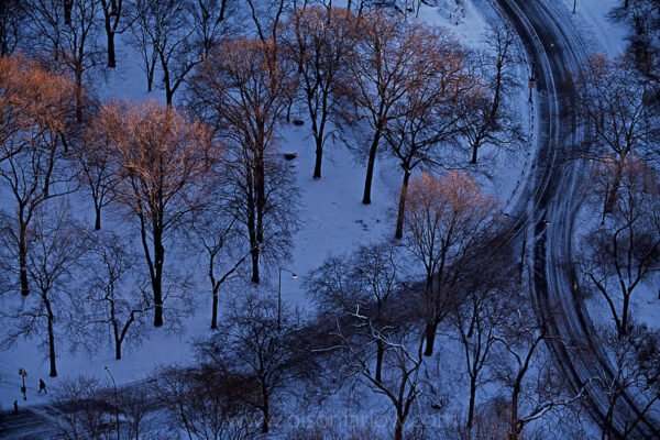 Morning sun kisses the icy tops of winter trees in snow blanketed New York’s Central Park. An elevated view shows a walker following a curved path planned by Frederick Law Olmsted to create a greater sense of space and mystery about what was to come around the next bend.
Olmsted partnered with Calvert Vaux to plan “Greensward,” and won a design competition to make the what became a beloved urban park. When the idea was conceived, New York was much smaller and no one could imagine the open space surrounded by a city with tall buildings. Olmsted was a visionary and understood that man needed nature to combat the stresses of city life.  Construction began in 1858  and was completed fifteen years later. Central Park was designated a National Historic Landmark in 1963 and is now managed by Central Park Conservancy, a nonprofit which contributes eighty five percent of the park’s $37.5 budget. More than thirty-five million visitors to Manhattan come to the park annually.
