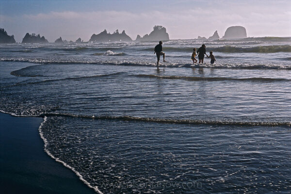 Summertime sun allows fa family to wade into the cold ocean waters along a beach in Olympic National Park. The Pacific Ocean maintains a year-round temperature of around 55 degrees Fahrenheit on the coast of Washington which is also why the climate is mild, but also allows only short swims without a wetsuit.
