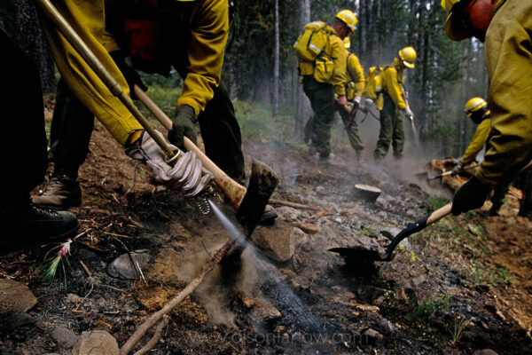Marine Corps troops trained in fire fighting relieve tired, overburdened fire fighters and put out the last, smoking embers in part of an under-control wildfire in the wilderness near Clear Creek, Idaho. Over 200,000 acres of forest burned in the Clear Creek fire near Echo Canyon.
More than a billion dollars are spent annually suppressing fires that burn millions of acres of western land. The West is a tinderbox. Wild fires spread through thick forests every year because drought and long-term fire suppression make the underbrush a thick forest canopy.
