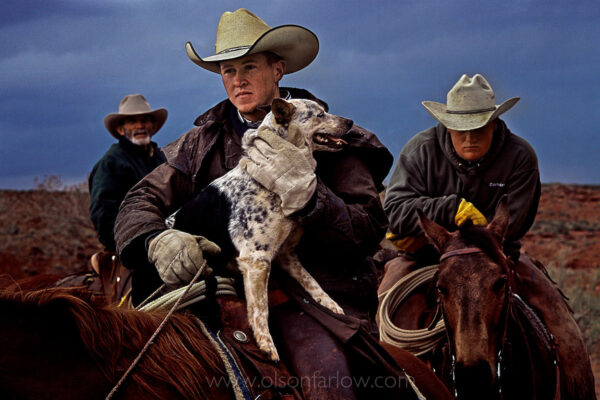 Cowboys from central Utah wait for a signal to begin branding young calves at the Dugout Ranch near Monticello. One ranch hand was happily reunited with his dog. They were separated when the cowboys were moving cattle, and the dog jumped up into the saddle upon seeing his owner.
