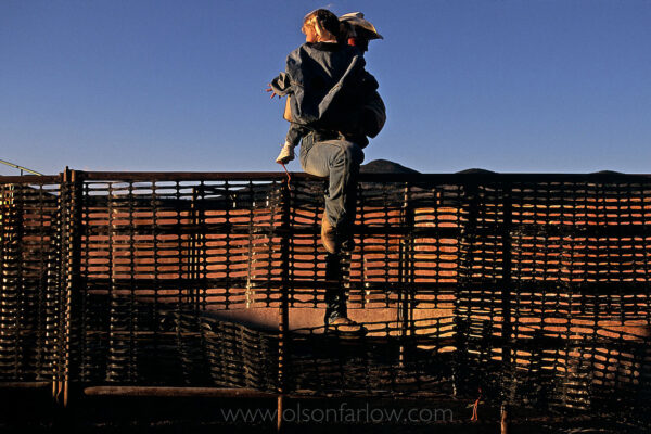 Deepening shadows signal the close of a long day for a cowboy working for the Bureau of Land Managment at a Nevada corral. Peering over a maze of fencing, he and his young daughter view mustangs that are being loaded from pens into trucks. After being gathered and processed, the wild horses may be be adopted or taken to refuges in several states.
An estimated nearly 100,000 wild horses roam western lands and many are descendants of Spanish horses brought to the New World in the 1500s. In the 1800s, the Spanish stock began to mix with European horses favored by settlers, trappers, and miners, that had escaped or were turned out by their owners.
 
