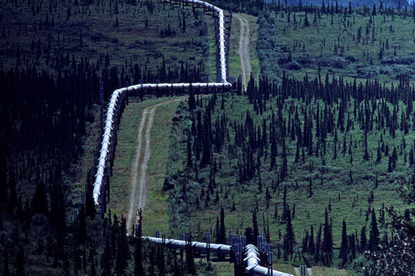 The Trans-Alaskan Pipeline crosses Alaska’s North Slope, carrying oil from Prudhoe Bay south to Valdez, Alaska. North of the Yukon River, 420 miles of the 800-mile pipeline were built above ground because of the unstable soil conditions from thaw-sensitive permafrost.
The pipeline was purposely built in a zigzag configuration to allow the pipe to move more easily from side to side and lengthwise in cases of earthquakes or temperature-related fluctuations. The effectiveness of this design was proven in 2002 when the pipeline survived a 7.9 magnitude earthquake.
The pipeline was built after the 1973 oil crisis caused a sharp rise in oil prices in the U.S.
Opposition to construction of the pipeline came from Alaska Native groups concerned because the pipeline would cross native lands with no economic benefits to inhabitants. Conservationists were angry at what they saw as an incursion into America’s last wilderness.
