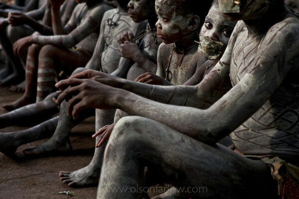 Pygmy Boys in a nKumbi Manhood Ritual wear a leaf mouthpiece to keep them quiet near Epulu, Democratic Republic of Congo. Forest Pygmies are indigenous, semi-nomadic, hunter-gatherers in the rainforest of the Congo Basin. An adult Pygmy man’s average height in adult men is less than 150 cm or 4 foot 11 inches high. The BaMbuti Pygmies perform a  nKumbi or initiation that lasts five months where the boys live at a camp in the forest and go off daily to learn survival skills.
From a conversation with John Hart, Scientist and Conservationist:  “Culturally and biologically, all of Africa meets at the Albertine Rift.  It is the source of the Congo and Nile rivers and it is the heart of the continent.” The rift is also the most hotly contested area in Africa… DR Congo borders Uganda, Rwanda, Burundi and on the east side of the rift you have huge population density (300 people per square kilometer) trying to eke out agriculture.  On the west side of the rift you have jungle and 3 people per square kilometer.  The rift frontier is the Pygmies homeland.  DR Congo has half of all the forests in Africa and the Ituri region has the highest density of Pygmies… They are the original indigenous group for this forest.
DRC is the biggest country in Africa that has great mineral and natural resource wealth.  Algeria and Sudan are bigger countries, but they are mostly dust. Sudan is 2.5 million sq. KM with 36 million people. DRC is 2.35 million sq. KM with 53 million people (3rd largest pop in Africa)
Ironically, the greatest long-term threat to the pygmies is peace and prosperity.  No one wants to rape their land when it is still in a war zone. They have been left alone in their forests because foreign companies and individuals are too intimidated by the jungle or to do work here.  The fledgling political system of DRC will never be able to handle the influx from the Albertine Rift and other areas.  They are certainly not organized enough if the Chinese or other groups decide it is safe enough to come to DRC en masse for it’s natural resources and mineral wealth. The Ituri River erodes the mountains of gold near Bunia.  The militias hotly contested the few gold extraction operations in the Ituri drainage, but the real conservation problems will start when people on the densely populated east side of the Albertine Rift realize this area is secure and contains gold.  And then those that follow the extraction points, will clear the forests.
Pygmy heartland is still a frontier – partially because sedentary groups are afraid of the jungle and partly because the main East-West Road in DRC (the Trans-African Highway) is basically a footpath. But the frontier is being invaded.  The first toeholds into this zone are mining for minerals like gold and coltan.  But once the jungle is breached, other groups follow.  One of the most pervasive is the Wanande from Uganda.  They follow the miners and set up shops and little cottage industries to make money.  Then the general population follows.  This is already happening all around the Ituri region.  One of the photographs I’ve made is Pygmies on scaffolding around trees chopping them down for agriculture.  They are being hired to chop down their own forest.
Once security is regained in this region, the influx from the eastern Albertine Rift will be horrendous.  At the moment DRC is amassing troops at their border here to protect their interests in the region.  The rioting in Kinshasa and fighting in Bukavu were basically over control of the rift.  Rwanda would like to annex the area. Pygmies dissipate and evaporate with the forest. They don’t stay and fight.
The Wanande is the largest ethnic group invading the frontier and they have businesses, churches, schools, money… And the Mbuti just have small hunting clans, leaf huts and a few pots and plastic bottles.  The Wanande don’t care about the traditional trading arrangements the pygmies have had over time. Pygmies go into the forest and hunt for protein and the sedentary Bantus have traded starch for the pygmies’ meat.
While most of the Ituri has fewer than 3 inhabitants per square kilometer, the forest is surrounded on all sides by districts, which support the highest population densities in all of Zaire outside of its capital, Kinshasa. The frontier moves with these extractive outposts (like gold mining) and the jumps are unpredictable.  For example, John Hart’s PHD on hunting was done in a forest site in the 70’s.  There isn’t a tree left in the area. The Harts are really in a unique position to study.
