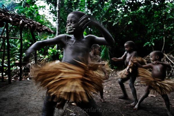 Pygmy boys dance wearing leaves on their mouths for silence as they go through a manhood initiation called nKumbi.  They wear the ceremonial skirts for their circumcision ceremonies, and when the ritual is completed, the skirts will hang in the trees at the entrance to their village in the Democratic Republic of Congo.
Pygmies are nomadic hunter-gatherers who rely on a healthy forest to survive. They have no claim to their own home territory, however, because the colonial Belgians assigned land rights only to sedentary groups
From the National Geographic story by Paul Salopek:This is the Albertine Rift. It is the westernmost of the famous African Rift Valleys that began yawning wide some 35 million ago as the Arabian Peninsula drifted away from the continent. The Albertine Rift is especially beautiful. It shadows Congo’s eastern border, cupping a series of enormous, limpid lakes in its belly, separating Uganda, Rwanda, and Burundi from Congo proper.
This rift also is a human quake zone. It is the frontier between Francophone Central Africa and Anglophone Eastern Africa. It marks an economic divide between countries with few natural resources (Rwanda, Burundi) and one that overflows with them (Congo). Moreover, it is a violent ethnic front. The Hutu perpetrators of Rwanda’s 1994 mass murder of Tutsis have escaped into Congo’s jungles, sparking years of cross-border reprisals by the Rwandan army. (The militaries of at least five other neighboring nations have invaded weak Congo recently, for much more venal reasons.) 
But to Hart, the most troubling chasm of all is demographic: east of the Albertine Rift, population densities exceed 1,000 people per square mile; to the west, in Congo’s vast, lawless rain forests, it drops to less than 10.
“All these people have to go somewhere, right?” he says, gesturing out beyond the farm-scalped hills around Bukavu. “It’s inexorable. Unstoppable. This is Africa’s last big frontier. All we can do it try to create islands of habitat that the crowds will hopefully flow around.”
Hart works for the Brooklyn-based Wildlife Conservation Society. He and others like him are behind a quiet international relief effort to rescue the richest diversity of birds and mammals on the African continent. Mountain gorillas, bonobos, rare okapis, hippos, forest elephants – all face oblivion at the hands of eastern Congo’s private armies and a tide of land-hungry peasants.
Imagine, for a moment, that the United States has been prostrated by civil war. Imagine further that, after many years of anarchy, gangs of unsavory militias have holed up in famous American national parks. Neo-Nazis occupy Yellowstone. They are machine-gunning the last buffalo. Desperate bureaucrats in Washington have invited foreign green groups to come and help – to save whatever they can. British environmentalists respond by assuming the management of the Grand Canyon, where gangs of thugs are brazenly dynamiting fish from the Colorado River and pit-mining gold. Japanese wildlife experts, meanwhile, face gunfire while re-supplying beleaguered US Park Service rangers, scores of whom have been killed in the mayhem.
This is modern conservation work in Congo.
“The war has been hard,” Hart says, tipping back a warm beer. “But just wait until things stabilize. Wait until the big loggers think it’s safe to move in. That’s when the real plunder begins.”
