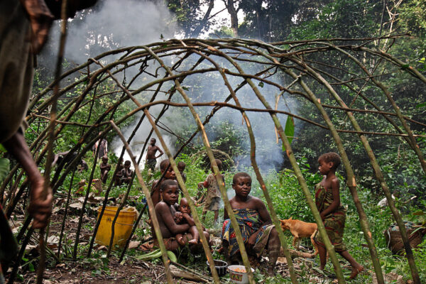 Pygmies hiked for two days to a site where they made a hunting camp in the Ituri forest. Women constructed the nighttime shelters in a couple of hours, bending branches to create a superstructure they later covered with leaves from the forest.  The forest hunting camps are about 10k apart, and 10K from where the hunters string their nets.   Boys who are going through the end of the circumcision ceremony called nKumbi accompanied the adults to the camp.  They had their own structure housed off to the side, and were sent off into the forest to hunt or fish.
From my journal:  The next morning I need to change shirts, and I realize I should go into the tent to do it, but it is a production to do anything in a small tent, and all of these folks are half naked anyway…  So… I take off my shirt in the middle of the camp and 70 pygmies all gasp and cry out at once… the sight of that much white skin is a bit much for them. I am ok with that, but I am really tired of all the babies crying when I come near and even their friendly little dogs start barking like crazy when I am close to them.
Pygmies are noisy and happy… they stay up late yelling at each other and telling hunting stories… acting out the animals.  After being around these folks I know one thing is true… most westerers have no idea how to have fun.  Pygmies laugh until they need others to help them stand up.
Pygmies have access to matches, but they prefer to carry fire—usually just a smoldering chunk of log or sometimes embers wrapped in leaves.  I try not to use strobe because it really scares them, but reviewing photos on the back of a digital camera can draw a crowd of thirty or more—all making noise and excitedly pointing at the back of the camera.
Pakulu’s cheap batteries are starting to go, but every day we get news of troops massing at the Congo/Rwanda border.  The station in Epulu has an “early warning system” – when the toleca (bicycle transport) riders quit coming on the trans-African highway (footpath) they go into high alert.
There are three chiefs in our hunting group.  The king of the pygmies is the Bantu chief who owns 122 pygmies; his name is Potoliko Putnam… his father worked for Putnam, the first white man to settle in the area and Potoliko’s family assumed the name.  The chief of the pygmy group that was our guide thru the woods is Aposindakala and the other pygmy chief is Angotu.
