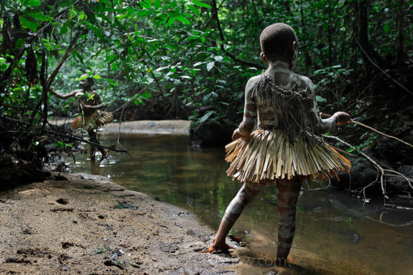 Pygmy boys learn fishing and other skills at their hunting camp in the Ituri Forest in the Democratic Republic of Congo.
Boys go through the circumcision ceremony called nKumbi accompanied the adults to the camp.  There is a strict regiment of learning survival skills to hunt and to recognize all there is to know about the forest. They are whipped every morning to make them tough, and then they sent off into the forest to hunt or fish. The boys pull a small hook out of their skirts and get a vine and a stick—they know where to dig for worms.  They catch five or six 2inch long fish and eat them raw for lunch.
It took everything I had to follow these fast little guys.  My biggest problem was when I finally stopped to photograph, my glasses completely fogged.  A lot of photographs like this one are shot on the run, just pointing the camera in the general direction.
 
