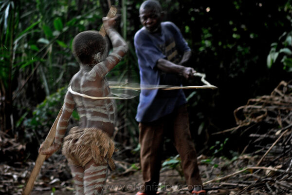 Manhood Ritual | Ituri Forest, DR Congo
After several months in the Ituri Forest, Pygmy boys have learned skills to survive on their own. They hunt, fish and learn to read the forest to recognize the slightest details. But on the last day of the nKumbi, the whipping is more severe and includes a ceremony where the boys are secluded within a phalanx of men all carrying whips. The men are met halfway thru the village with women carrying whips and a melee ensues–the intent is to control the destiny of the child. The women want the boy to stay a boy and the men want the boy to be acknowledged as a man. The men win. The boy is now a man and cannot be claimed as a child anymore by his mother. After the Bantu man raises his long branch to white, there is also ritual scarification. Each boy is paraded, one by one, through the village accompanied by a masked elder, and money is collected at his dancing feet.
