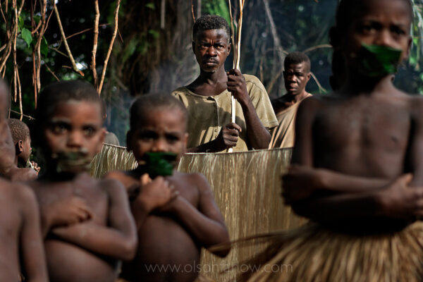 Trio of Pygmy Boys waiting for Whipping | Ituri Forest, DR Congo
The Salate at the end of the nKumbi Pygmy manhood ritual.  The men watch over Pygmy boys who have been secluded for 5 months.
From my journal:    Paluku knocks on my mud hut door very early and we go up to the nKumbi area before the boys come out of their sleeping area in the woods.  They come in clumps shivering from the cold and what is to come on their last day.  The men don’t allow them by the fire—they are sent to sit on their little line of logs at the edge of the forest.  The boys’ shivering gets worse as the camp turns into a whip-production factory.  Men have cut about a hundred little trees and they are burning the centers in the fire where they want the whip to bend….above that bend point; they  twist the limb to make them more flexible… into a more effective whip.  
