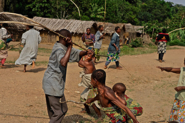 Pygmies Whip Each Other at End of Pygmy Manhood Ritual | Salate, Congo
The whipping is more severe on the last day and includes a ceremony where the boys are secluded within a phalanx of men all carrying whips. The men are met halfway thru the village with women carrying whips and a melee ensues trying to control the destiny of the child…the men win…the boy is now a man and cannot be claimed as a child anymore by his mother.  There is also ritual scarification on this day and each boy is paraded, one by one thru the village accompanied by a masked elder and someone to collect the money being thrown at his dancing feet.
From my journal:  The boys put on their skirts and there is a procession of whips and boys out of the forest camp.  They strip leaves as they go and by the time they get to the village, the boys are covered with leaves in the middle of a protective phalanx of whip carrying men.  At the other side of the village, the women have gathered with their whips.  Some of the women have heavy clothing and others (showing their fearlessness) are covered with as little as possible.  It’s the women in the heavy clothing, however, that lead the charge.
Most of these women are from the chief’s family—I guess they are obligated more than others to defend the village.  The other dynamic is that this is symbolic of the women trying to get their boys back…I figure they will lose, because at this stage of the play, these boys have become men.
But the ensuing melee is substantial… these people are beating the crap out of each other.  At one point I look around for Paluku and he is nowhere to be seen… later he comes up and says, “I was so afraid…”
The women whip the men without mercy, wearing heavy clothes, sweat pouring off their faces.  There seems to be a protocol to this drama.  The man whips the woman twice and then stands with his whip in the same position as the boys with the log the previous morning as the woman then gets to whip him twice… wives are whipping husbands and vice versa.
Pygmies are part of the crowd as well…there is a lot of running screaming and periods where six or eight couples are all whipping each other in the middle of the street.  This all continues until they reach the end of the village and the boys are successfully ushered back into the forest by the men.
