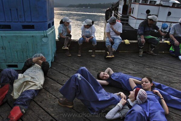 Exhausted cannery workers take a break during the busiest part of the salmon season in southeast Alaska. The seafood processors in Petersburg employ about 1,000 people each season. The main season for seafood processing and fishing employment is mid-June through early September.
Economists estimate the commercial seafood industry contributes $5.8 billion and 78,500 jobs to the Alaskan economy.
Icelandic Seafood employs hundreds of seasonal workers. Some are foreigners only in Alaska for the summer while others are local students trying to earn some quick money for school. It is tiring work with long hours since the fish must be processed quickly when boats bring In the catch.
