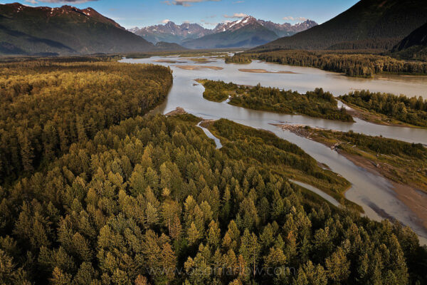 The Taku River flows out of the Coastal Range in British Columbia to 100 miles northeast of Juneau, Alaska. The Taku is southeast Alaska’s top salmon-producing river. Data from the Alaska Department of Fish & Game notes that nearly 2 million wild salmon return to the river annually.
A world-class wilderness, the Taku River watershed contains some of the richest wildlife habitat in North America and is teeming with grizzlies, wolves, Stone’s sheep, moose, woodland caribou, migratory birds, and abundant populations of salmon.
