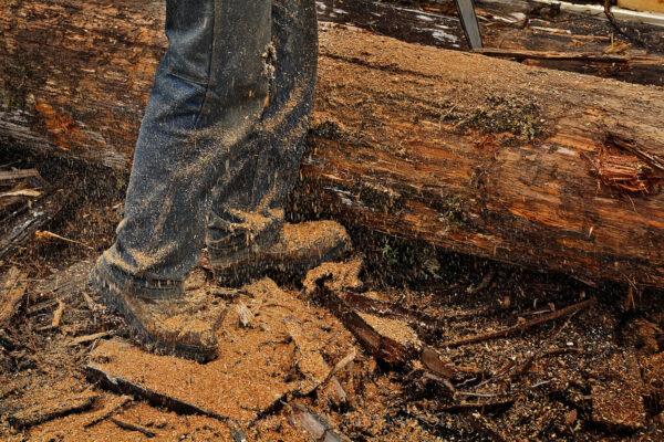 Sawdust covers a logger’s boots at a salvage mill on Goose Creek on Prince of Wales Island. Although the timber industry has declined in southeast Alaska, the family operation makes red cedar shakes and cuts boards from salvage after a company is done clear cutting trees.
The small company’s work is considered “value–added,” and is acknowledged as the best way to get the most dollars out of each board foot of timber harvested and processed locally.
