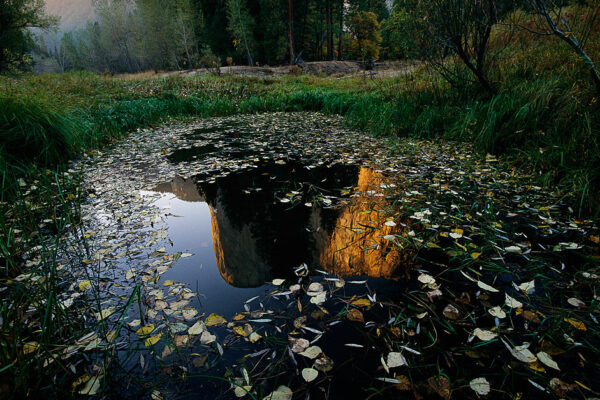 Frederick Law Olmsted | A Passion for Parks, National Geographic